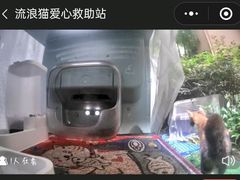 -筠咖啡西餐厅(上海国展宝龙丽筠酒店)