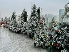 -城市露台景观餐厅(淮海路店)