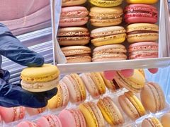 -Pierre Marcolini(德基广场店)