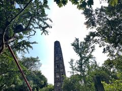 -上海佘山国家森林公园天马山园