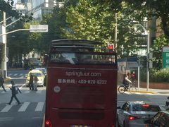 -BUS TOUR观光巴士