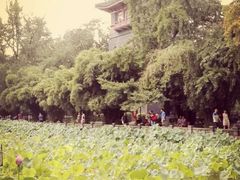 -四川大学(华西校区)