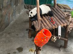 -青藏高原野生动物园