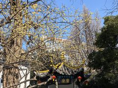 -包公祠