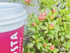 -COSTA COFFEE(上海虹口公园店)