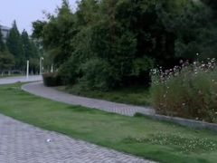 -安徽大学(磬苑校区)