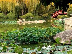 -西安华清御汤酒店