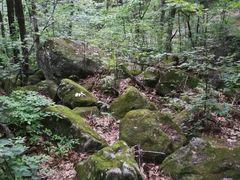 -内乡宝天曼生态旅游区