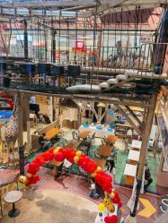 -卡通尼·Safari非洲探索乐园·生日会(金桥国际商业广场店)