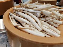 -龍歌自助小火锅(李沧顺和汇店)