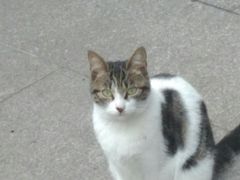 -苏州河梦清园环保主题公园