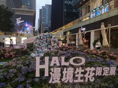 -HALO广场(梨园路店)