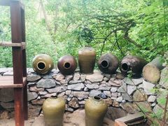 -洛阳白云山景区