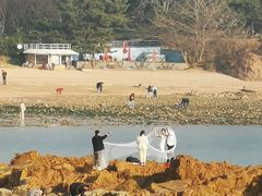 -八大关景区