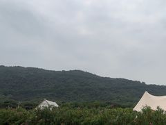 -风云岭森林公园