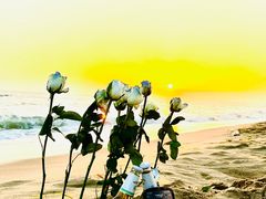 -那香海钻石沙滩浴场