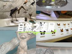 -中国湿地博物馆
