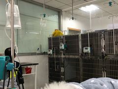 -成都民大动物医院
