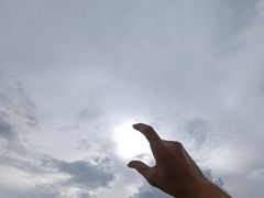 -长虫山生态公园风景林