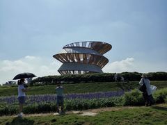 -光明小镇欢乐田园