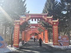 -长春市南湖公园