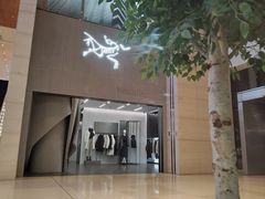 -ARC'TERYX始祖鸟(北京王府中环店)