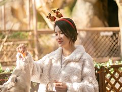 -杭州开元森泊度假乐园