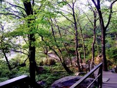 -沂蒙山旅游区云蒙景区(蒙山国家森林公园)