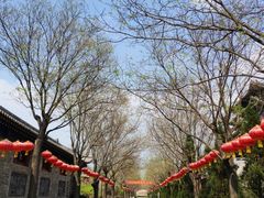 -大槐树寻根祭祖园