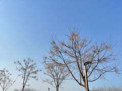 -汉长安城未央宫国家考古遗址公园