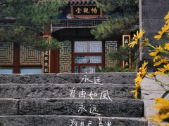-颐和园