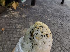 -殷姐糯米包油条