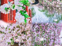 -元大都城垣遗址公园