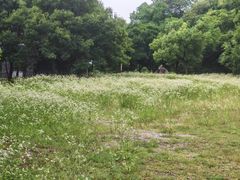 -三山岛