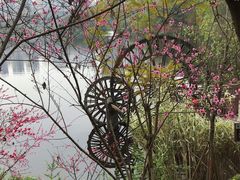 -重庆彩云湖湿地公园