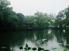 -浙江西子宾馆·瑶园咖啡厅