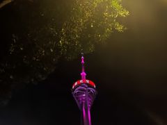 -巷子肥肠(科华巷店)