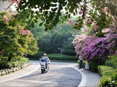 -杭州城北体育公园