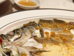 -金成潮菜博物馆(海珠湿地店)