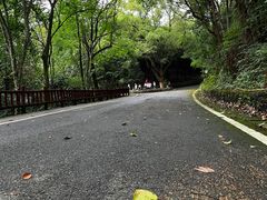 -潜山国家森林公园