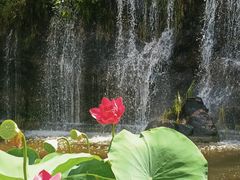 -广州莲花山旅游区