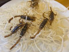 -途肴·老农饭庄(百里峡店)
