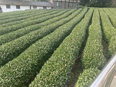 -味钱塘·钱塘浙宴(宋城之江银泰店)