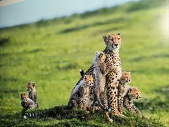 -罗红摄影艺术馆