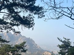 -崂山仰口游览区