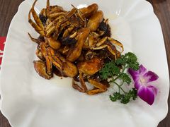 毛蟹炒年糕-王家沙点心店(南京西路总店)