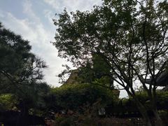 -龙华寺