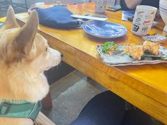 -坂吉屋·居酒屋深夜食堂(龙湖店)