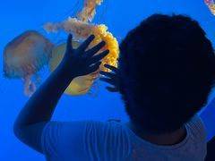 -太平洋海底世界