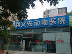 -利又安动物医院··老年病·猫科犬科·中兽医